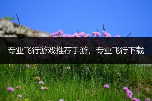专业飞行游戏推荐手游，专业飞行下载