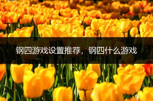 钢四游戏设置推荐，钢四什么游戏