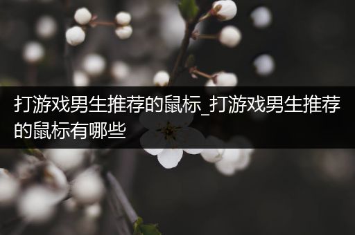 打游戏男生推荐的鼠标_打游戏男生推荐的鼠标有哪些