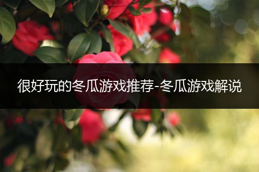 很好玩的冬瓜游戏推荐-冬瓜游戏解说