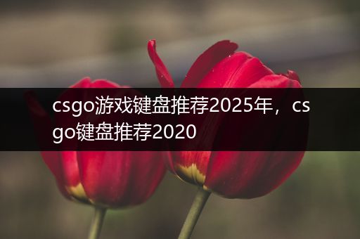 csgo游戏键盘推荐2025年，csgo键盘推荐2020
