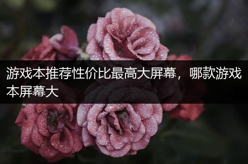 游戏本推荐性价比最高大屏幕，哪款游戏本屏幕大