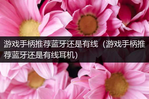 游戏手柄推荐蓝牙还是有线（游戏手柄推荐蓝牙还是有线耳机）