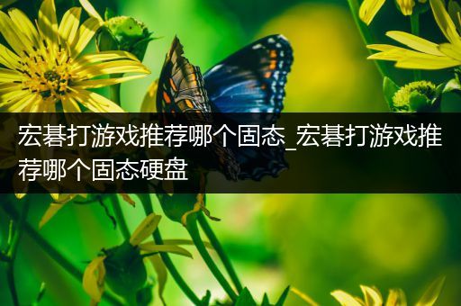 宏碁打游戏推荐哪个固态_宏碁打游戏推荐哪个固态硬盘