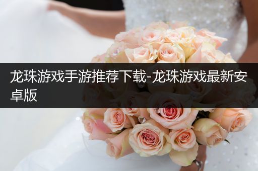 龙珠游戏手游推荐下载-龙珠游戏最新安卓版