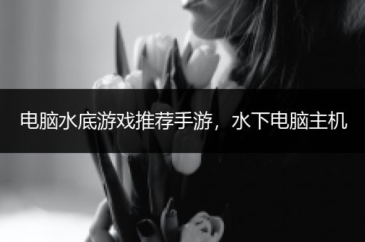 电脑水底游戏推荐手游，水下电脑主机