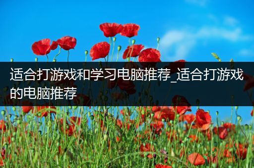 适合打游戏和学习电脑推荐_适合打游戏的电脑推荐
