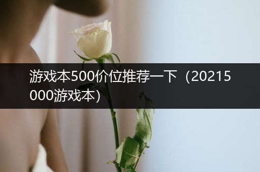 游戏本500价位推荐一下（20215000游戏本）