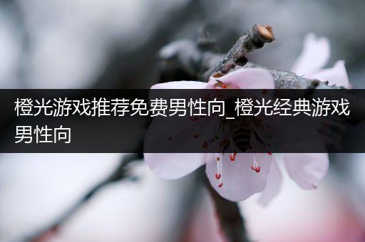 橙光游戏推荐免费男性向_橙光经典游戏男性向