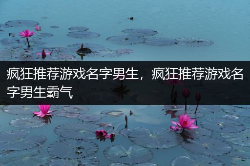 疯狂推荐游戏名字男生，疯狂推荐游戏名字男生霸气