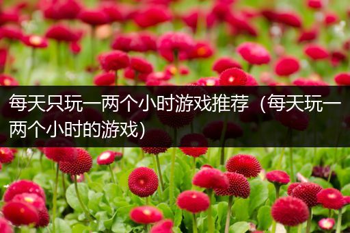 每天只玩一两个小时游戏推荐（每天玩一两个小时的游戏）