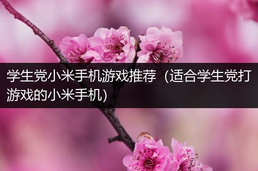 学生党小米手机游戏推荐（适合学生党打游戏的小米手机）