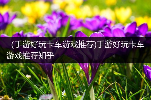 （手游好玩卡车游戏推荐)手游好玩卡车游戏推荐知乎
