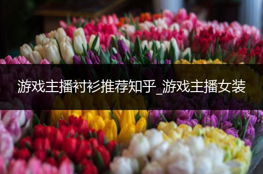 游戏主播衬衫推荐知乎_游戏主播女装