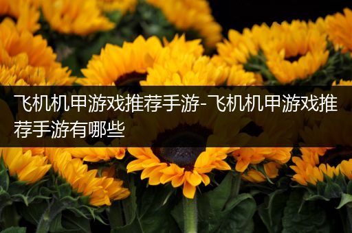 飞机机甲游戏推荐手游-飞机机甲游戏推荐手游有哪些