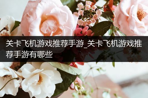 关卡飞机游戏推荐手游_关卡飞机游戏推荐手游有哪些