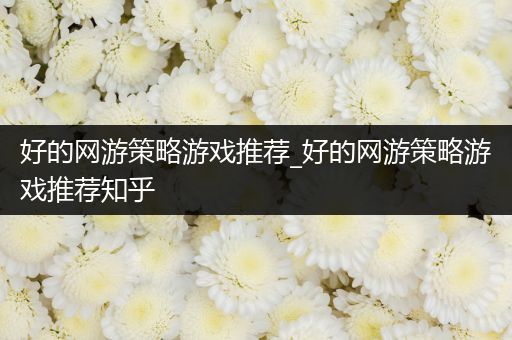 好的网游策略游戏推荐_好的网游策略游戏推荐知乎