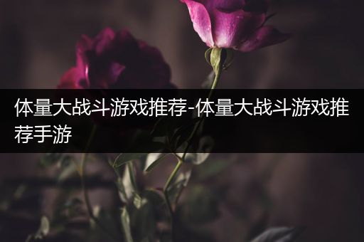 体量大战斗游戏推荐-体量大战斗游戏推荐手游