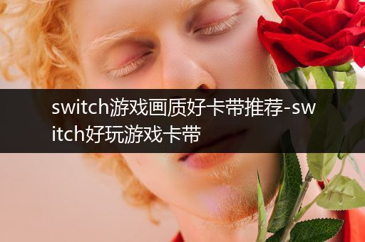 switch游戏画质好卡带推荐-switch好玩游戏卡带