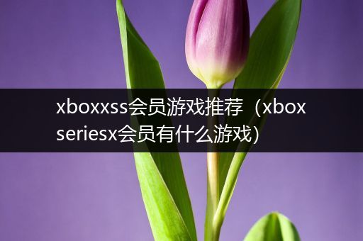 xboxxss会员游戏推荐（xboxseriesx会员有什么游戏）