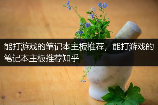 能打游戏的笔记本主板推荐，能打游戏的笔记本主板推荐知乎