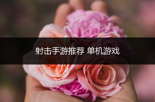 射击手游推荐 单机游戏