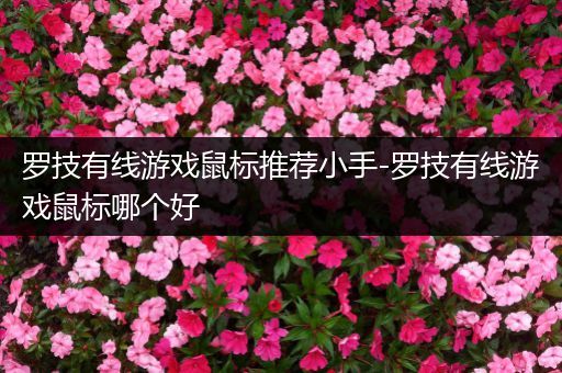罗技有线游戏鼠标推荐小手-罗技有线游戏鼠标哪个好