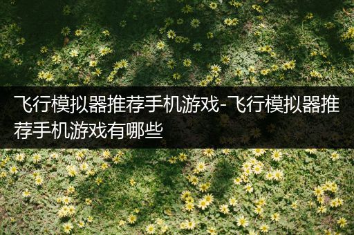 飞行模拟器推荐手机游戏-飞行模拟器推荐手机游戏有哪些