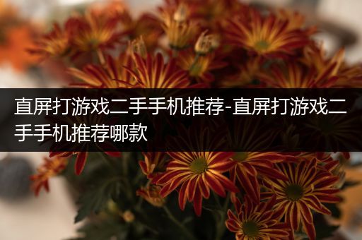直屏打游戏二手手机推荐-直屏打游戏二手手机推荐哪款