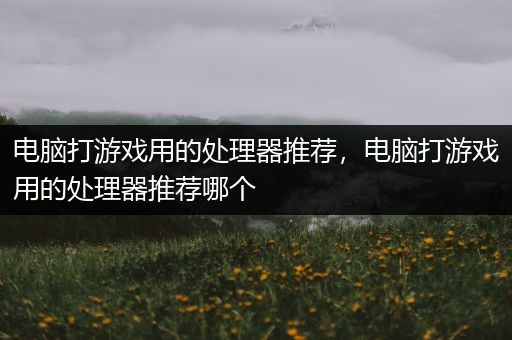 电脑打游戏用的处理器推荐，电脑打游戏用的处理器推荐哪个