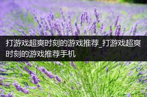 打游戏超爽时刻的游戏推荐_打游戏超爽时刻的游戏推荐手机