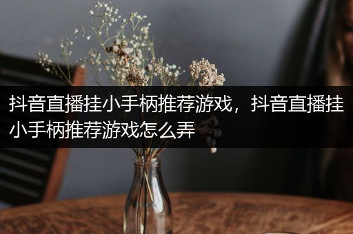 抖音直播挂小手柄推荐游戏，抖音直播挂小手柄推荐游戏怎么弄