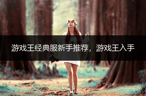 游戏王经典服新手推荐，游戏王入手