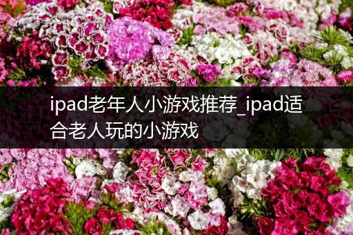 ipad老年人小游戏推荐_ipad适合老人玩的小游戏