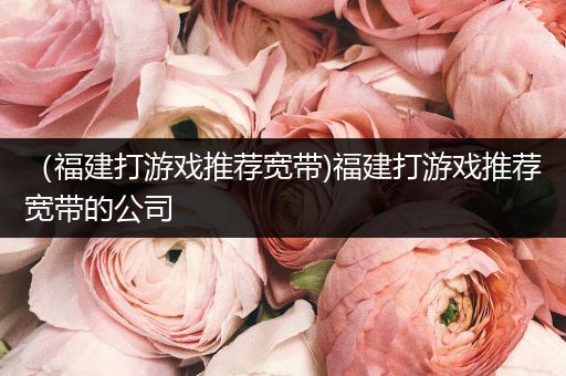 （福建打游戏推荐宽带)福建打游戏推荐宽带的公司