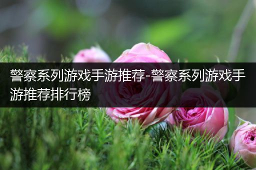 警察系列游戏手游推荐-警察系列游戏手游推荐排行榜