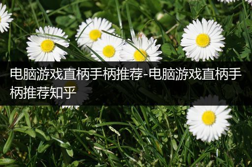 电脑游戏直柄手柄推荐-电脑游戏直柄手柄推荐知乎