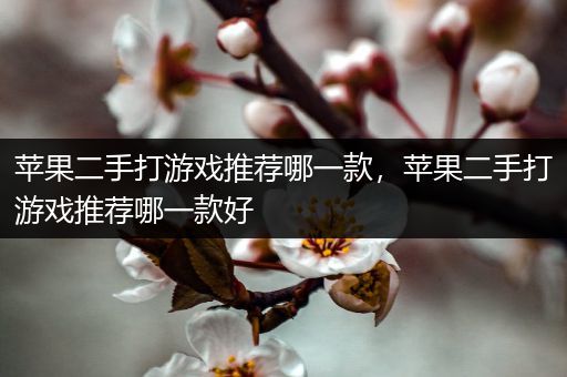 苹果二手打游戏推荐哪一款，苹果二手打游戏推荐哪一款好