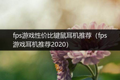 fps游戏性价比键鼠耳机推荐（fps游戏耳机推荐2020）
