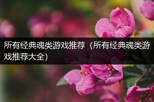 所有经典魂类游戏推荐（所有经典魂类游戏推荐大全）