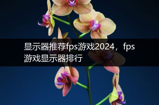 显示器推荐fps游戏2024，fps游戏显示器排行