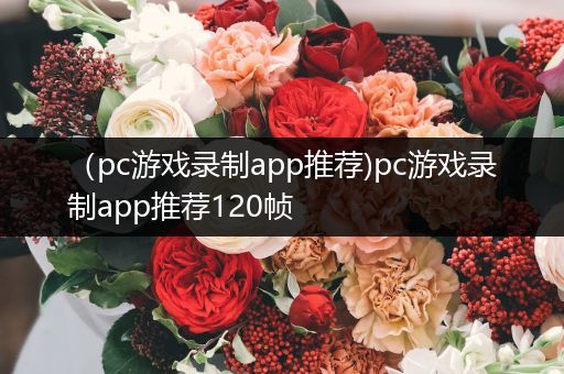 （pc游戏录制app推荐)pc游戏录制app推荐120帧
