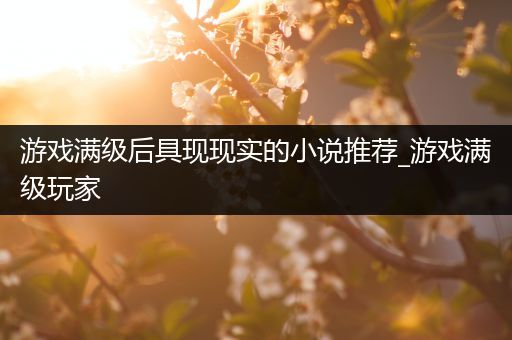 游戏满级后具现现实的小说推荐_游戏满级玩家