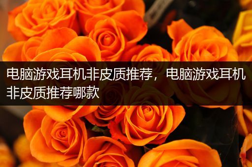 电脑游戏耳机非皮质推荐，电脑游戏耳机非皮质推荐哪款