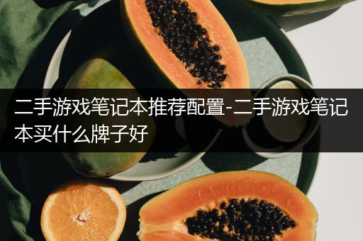 二手游戏笔记本推荐配置-二手游戏笔记本买什么牌子好