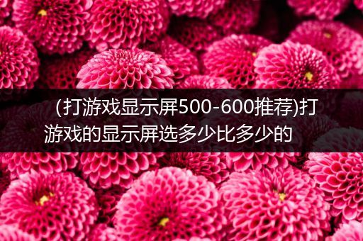（打游戏显示屏500-600推荐)打游戏的显示屏选多少比多少的