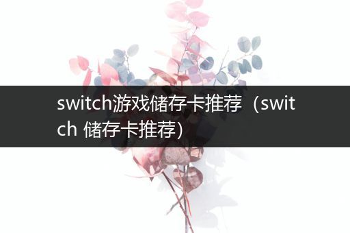 switch游戏储存卡推荐（switch 储存卡推荐）