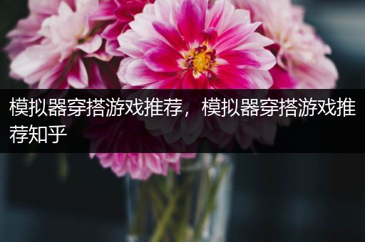 模拟器穿搭游戏推荐，模拟器穿搭游戏推荐知乎