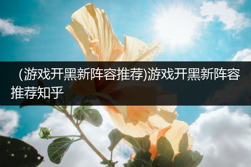 （游戏开黑新阵容推荐)游戏开黑新阵容推荐知乎