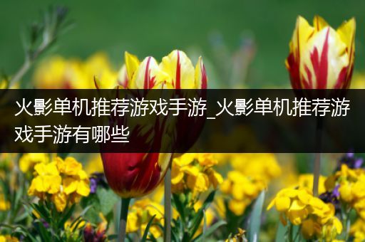 火影单机推荐游戏手游_火影单机推荐游戏手游有哪些